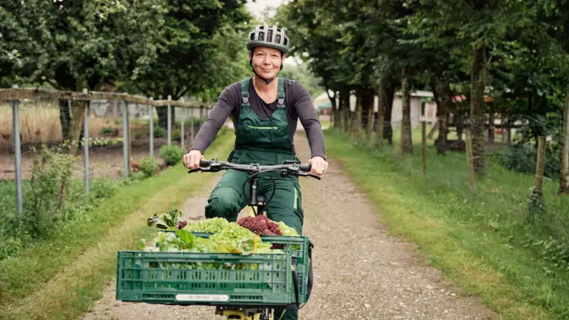 Gärtnerin mit Salat auf dem Frontloader fährt durch Allee auf Kamera zu