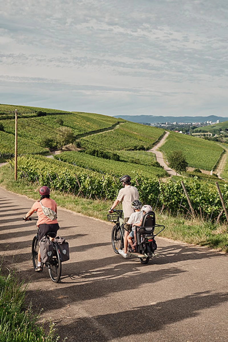 Familie radelt am Weinberg Schönberg