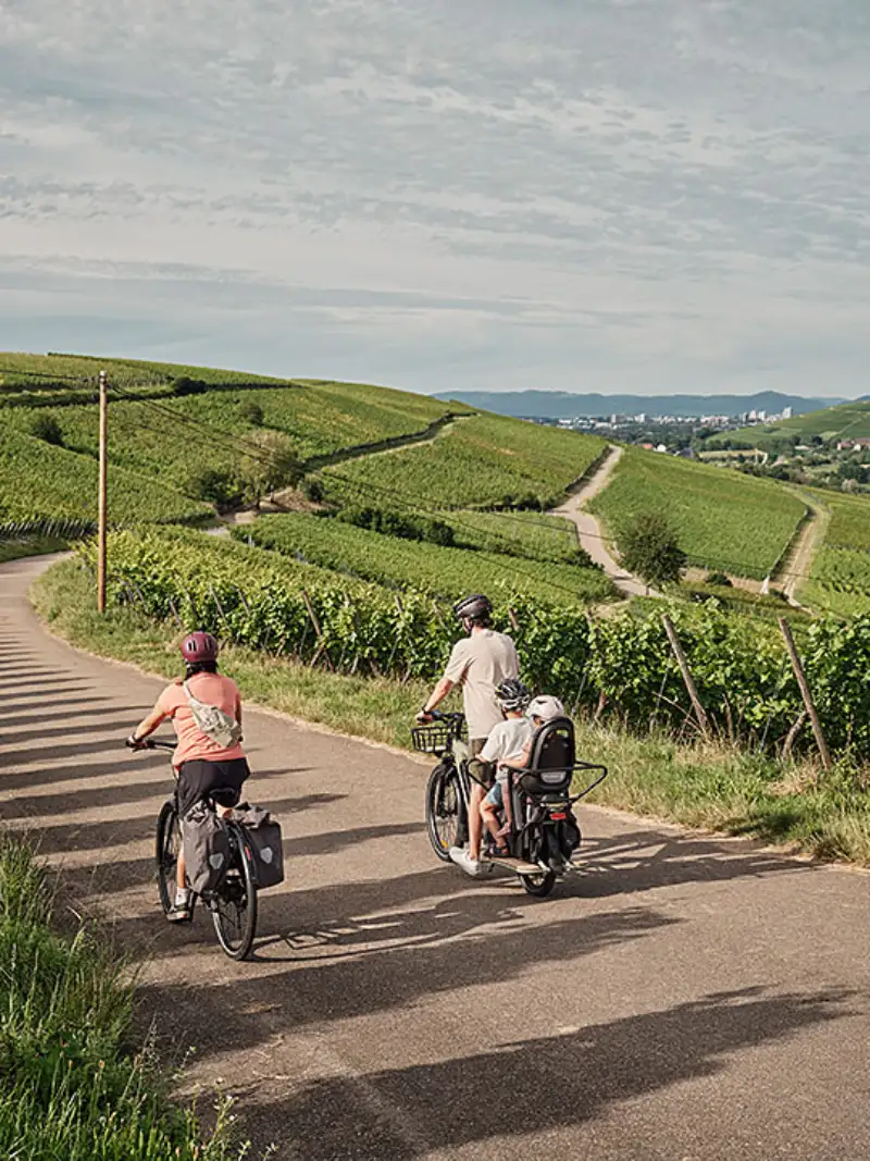 Familie radelt am Weinberg Schönberg